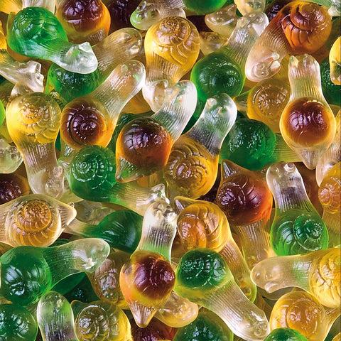 Caracois Brilho