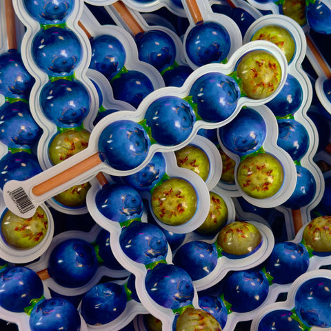 Stick de Framboesa 3D