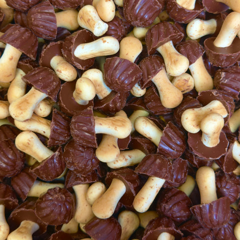 Cogumelos de Chocolate