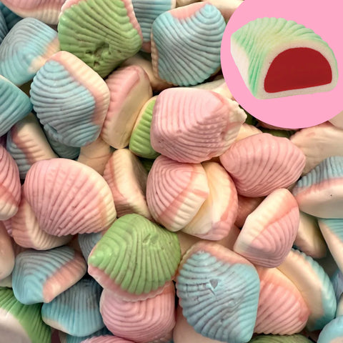 Conchas do Mar Foam e Recheadas