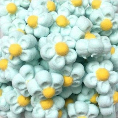 Margaridas Marshmallow Azuis