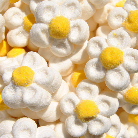 Margaridas Marshmallow - GomaGoma
