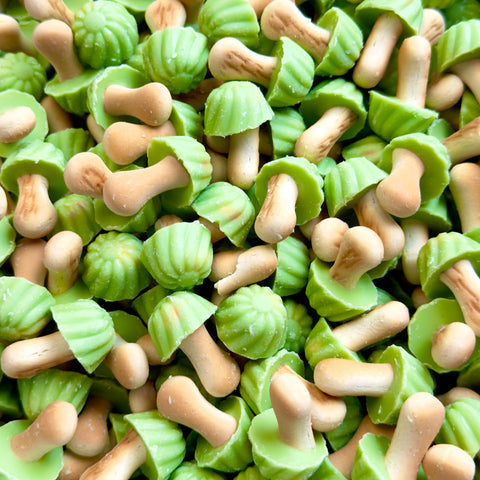Cogumelos de Matcha