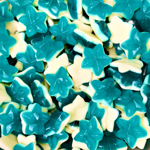 Estrelas Mar Brilho Ácidas