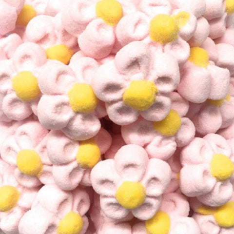 Margaridas Marshmallow Rosa